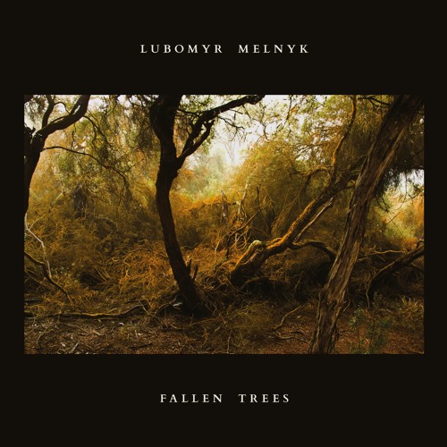 Stream Lubomyr Melnyk - Son of Parasol by Erased Tapes | Listen online for  free on SoundCloud