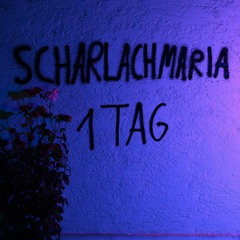 1Tag