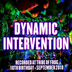 Dynamic Intervention - Recorded at Tribe of Frog 18th Birthday September 2018