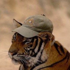 im really fucking sad