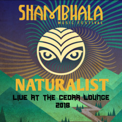 Live at The Cedar Lounge - Shambhala 2018