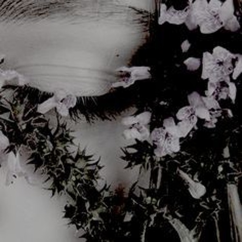 أيتها الوردة نامي- من نص: اقتلوا روناشتا. سليم بركات، تلحين وتنفيذ ميادة محمد الحسن