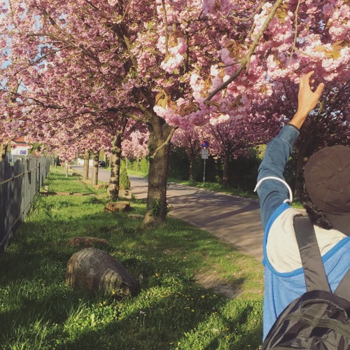 هذه الروح تشتاق إليك