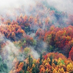 Automne