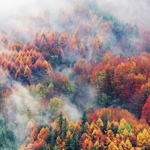 Automne