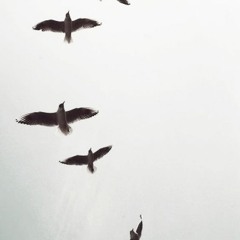 أتصحو أم فؤادكَ غيرُ صاح | قصيدة جرير