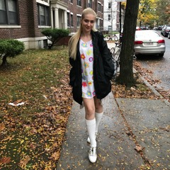 Autumn leaves arrangement