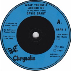 David Grant - Wrap Yourself Around Me (Slow & Swung)