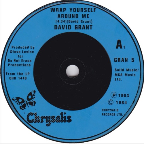 David Grant - Wrap Yourself Around Me (Slow & Swung)