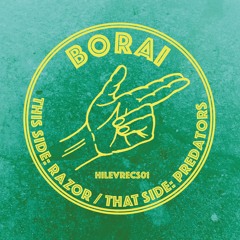 Premiere: Borai - Razor [Higher Level Records]