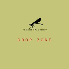 Day 8 - Drop Zone