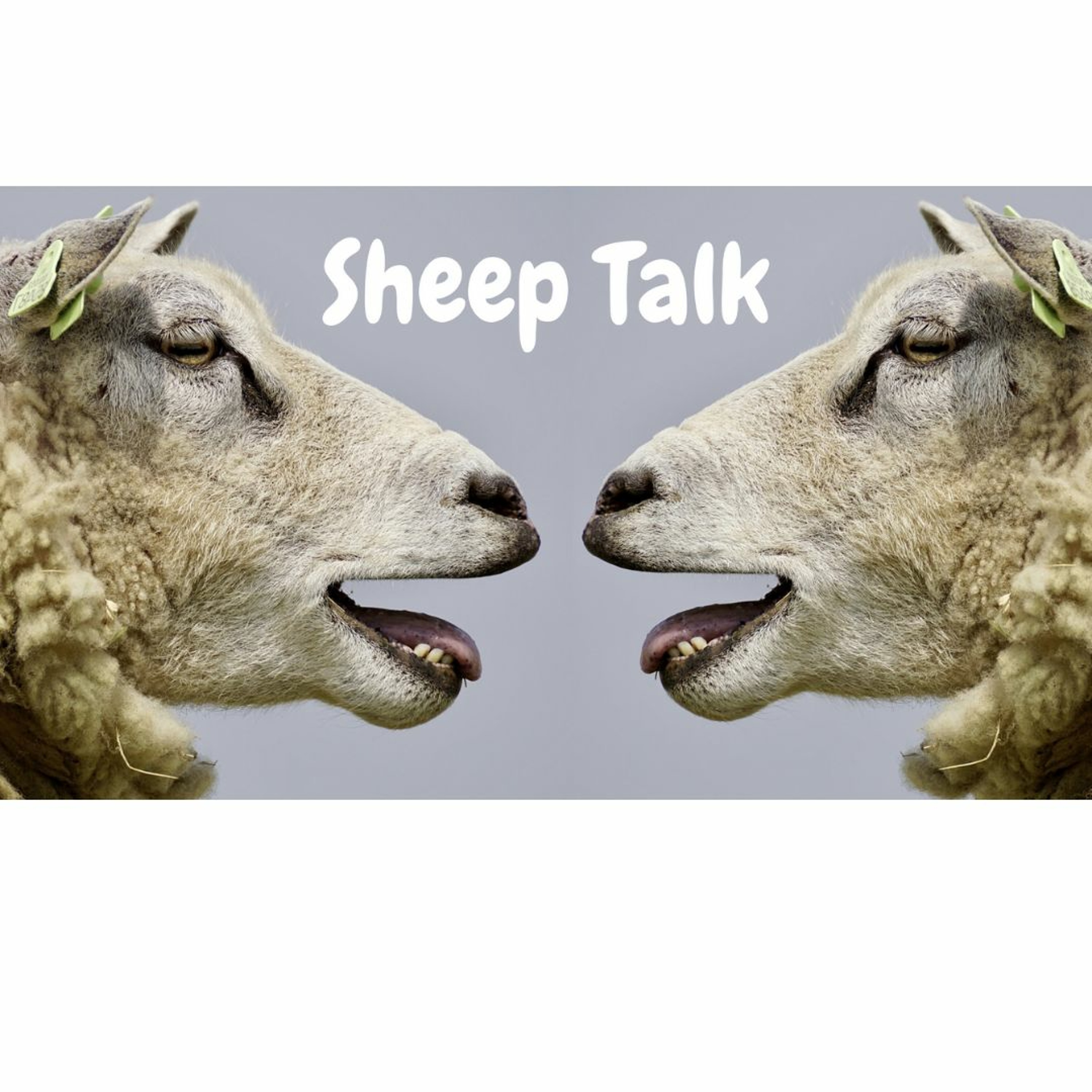 Anchor Church DC Audio Podcast