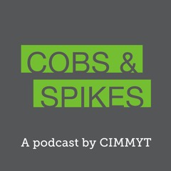 00: Introducing our new podcast, Cobs & Spikes