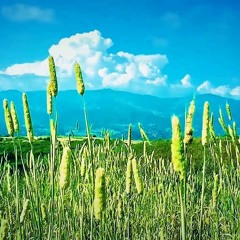 Roman Flügel - 9 Years (The AM Edit)