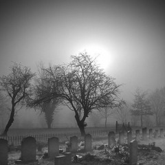 somebody to die for [edit]