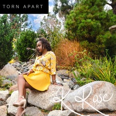 Torn Apart