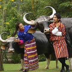 Choe Gi Zhingkham By Sonam Tobgay & Jamyang Choden