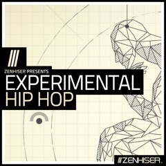 Experimental Hip Hop :: 1.8GB Wealth Of Left Field Hip Hop Sounds