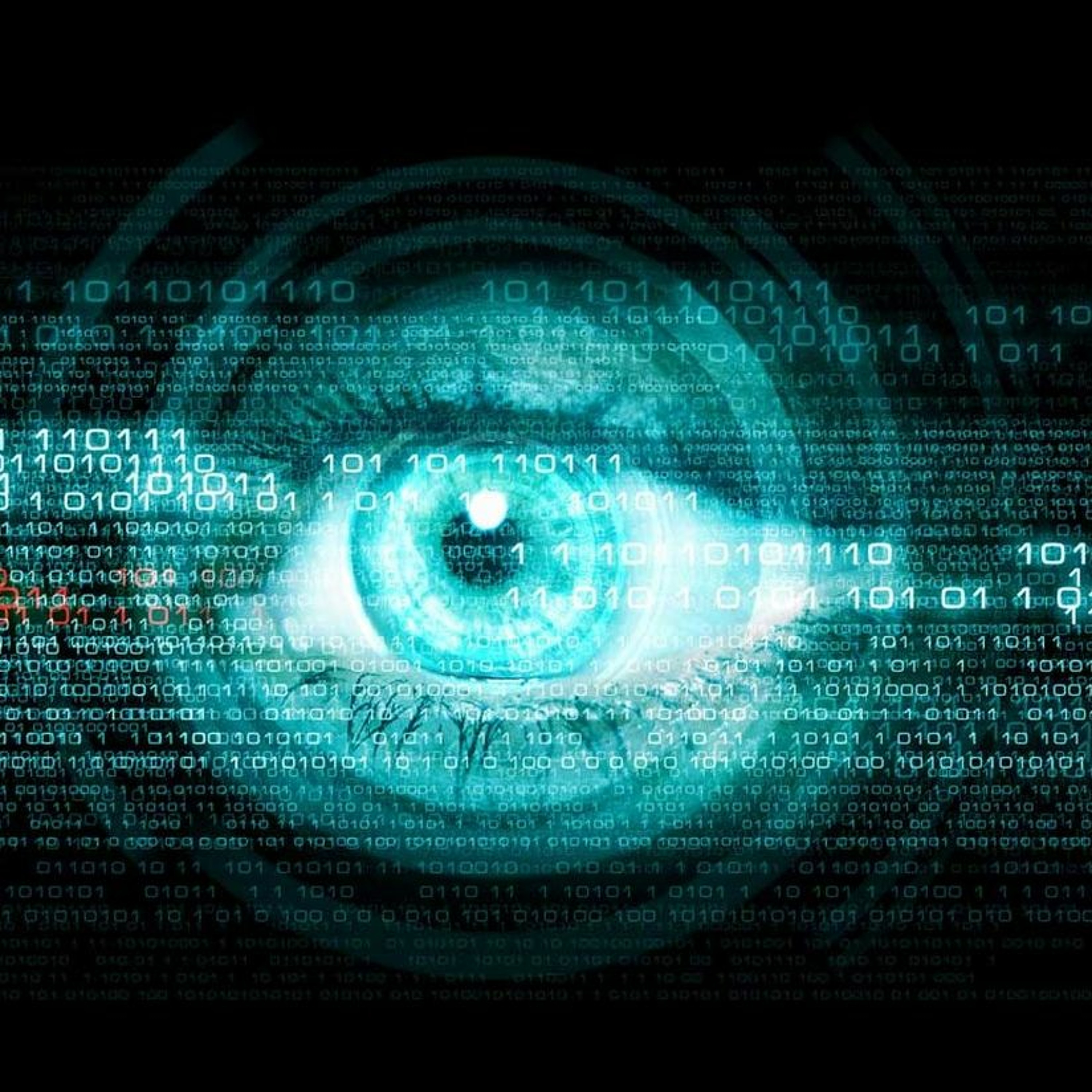 Spy vs citizen: Lizzie O'Shea on the federal government's proposed anti-encryption powers episode artwork