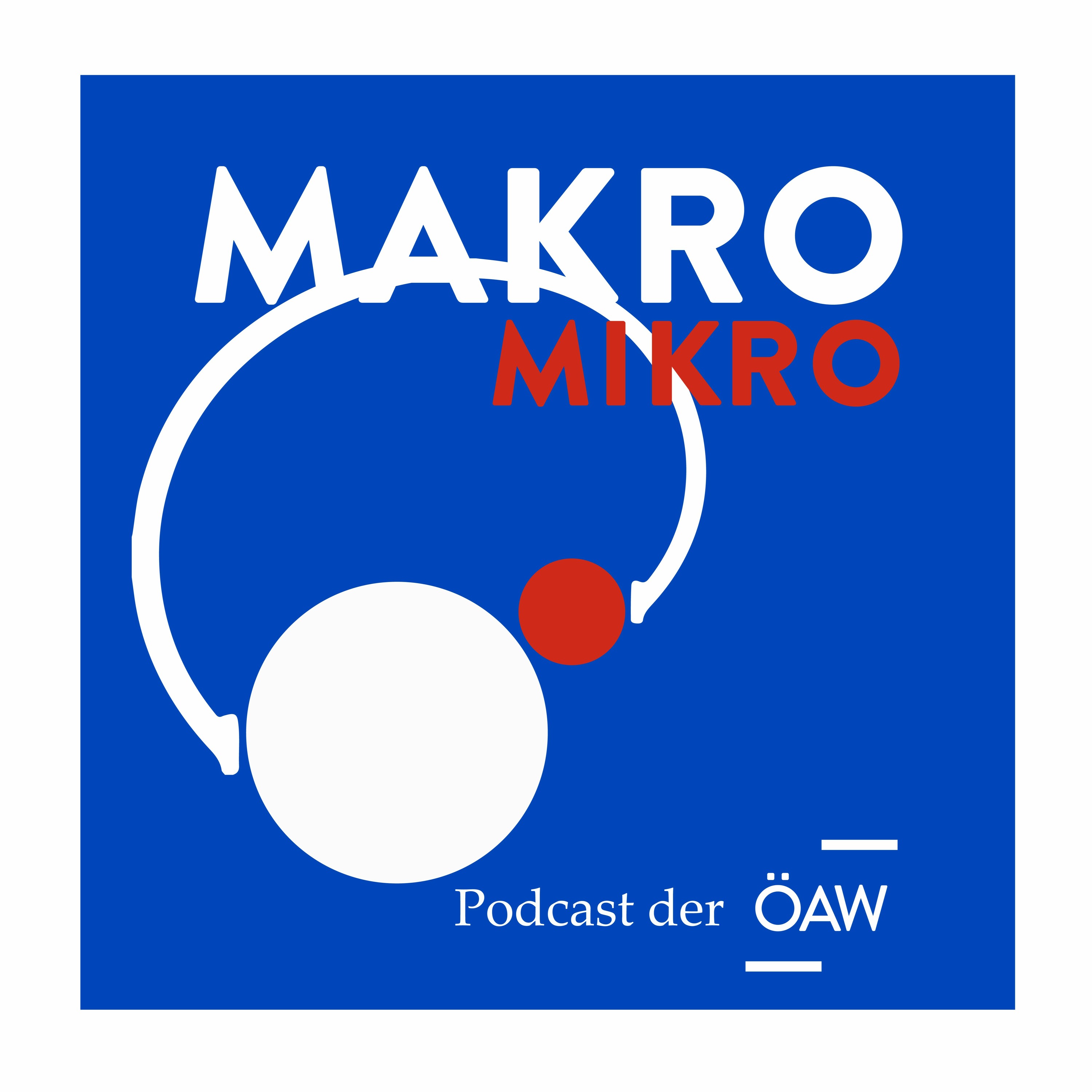 Makro Mikro