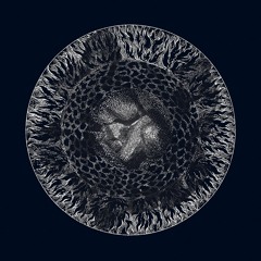 B2 Si muoveva fra le ultime lingue di fuoco con gli occhi rivolti all'interno, un cuore paralizzato.