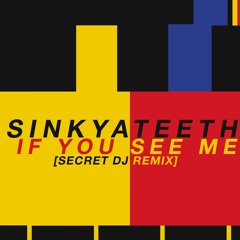 If You See Me (Secret DJ Remix)