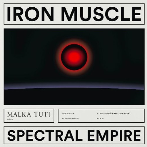 A2. Spectral Empire - See The Invisible