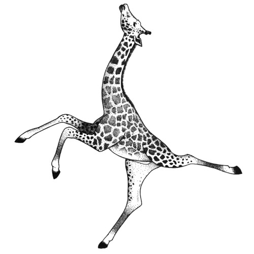 PREMIERE: Sune - Mimosa Kuriosa [Live Ones]