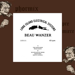 Phormix Premiere #7  Beau Wanzer - Wick Hunny {L.I.E.S Records}