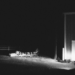 Cloud Nothings - So Right So Clean