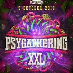 Live Set @ Psygathering XXL (retro fullon set) 06.10.2018