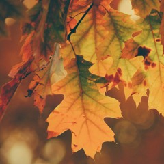 Colours Changing (Free Download)