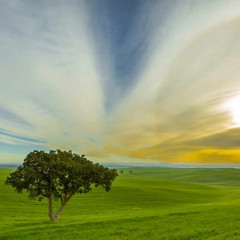 The Pastoral