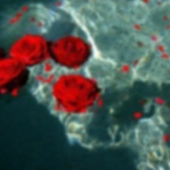 𝓶𝓲𝓷𝓲 𝓪𝓮𝓼𝓽𝓱𝓮𝓽𝓲𝓬 𝓹𝓵𝓮𝓪𝓼𝓾𝓻𝓮𝓼;🥀