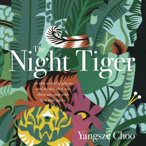 book the night tiger book the night tiger