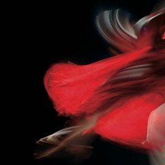 Tango Verde (michael spielmann)