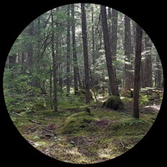 PREMIERE: DJ SAUVAGE - Not Possible