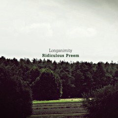 Ridiculous Preem - A long cold summer (feat. Szymon Kucharczyk)