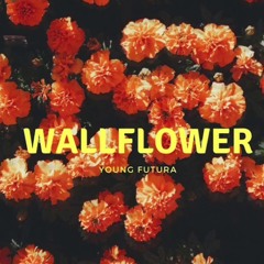 Wallflower - Young Futura