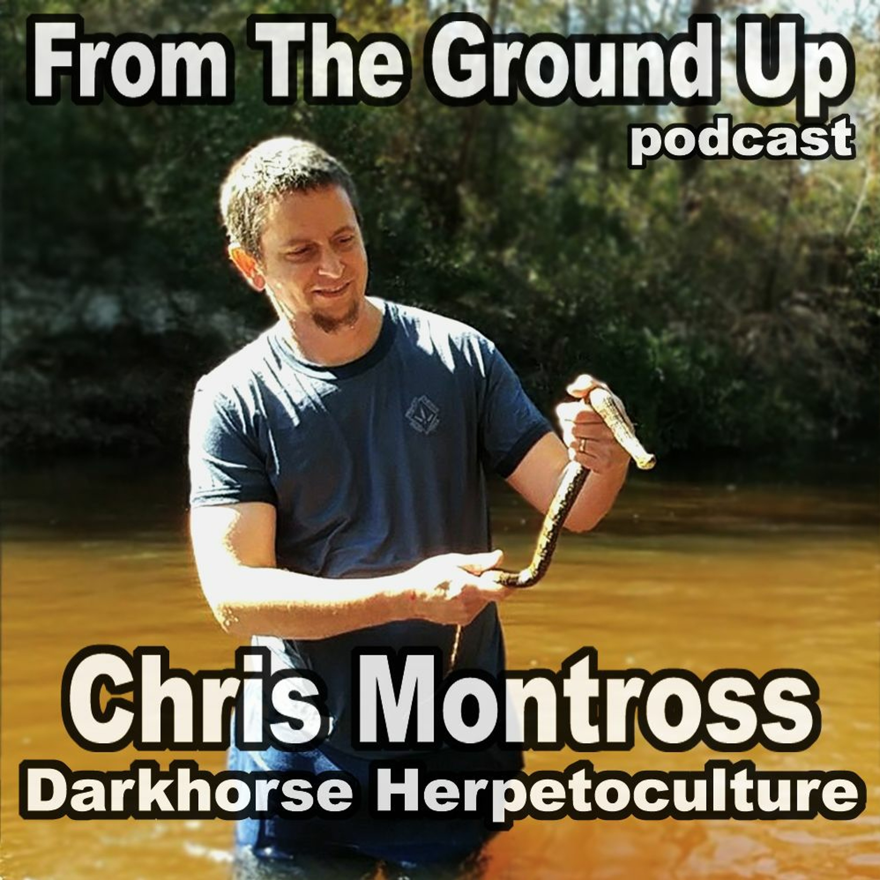 Modern Medusa Reptile Podcast - Where we talk everything cold-blooded (Snake Podcast)