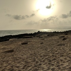 Najane Kyun Strings Cover - #omgproductions