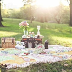 Picnic