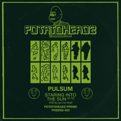 Pulsum - Staring Into The Sun (PHZDIGI-002)
