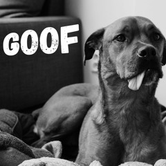 "Goof" - Petravita prod. Wavy Dre [Daily Demo 178/365]