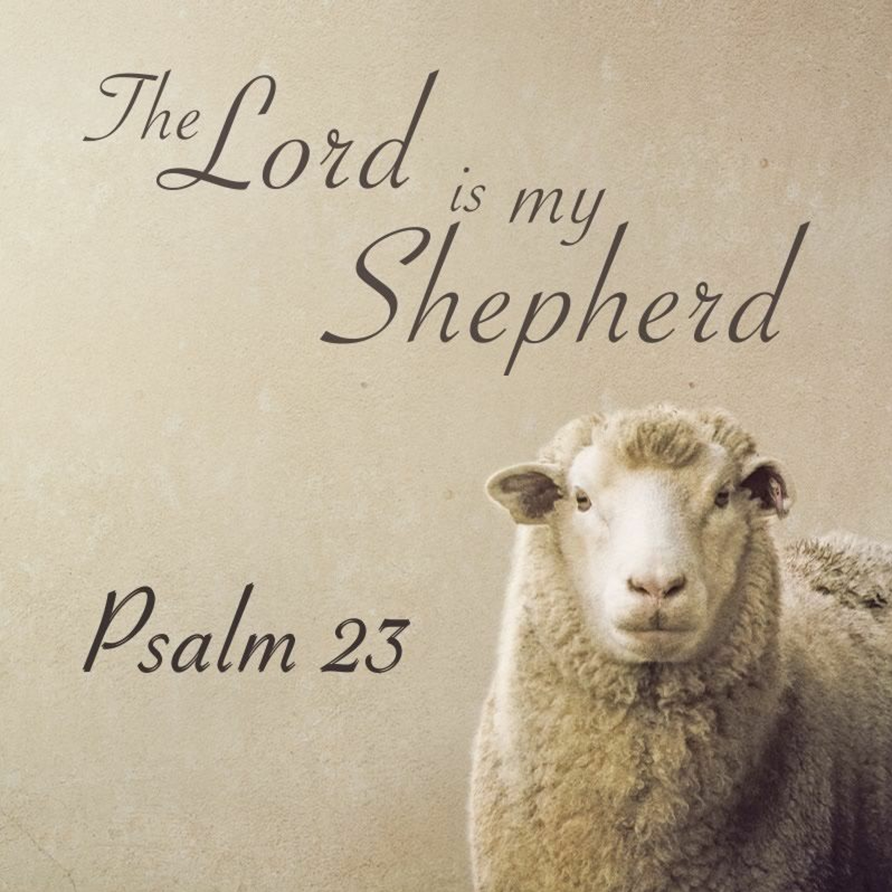 When Resting is Trusting (Psalm 23:2 - 10/7/2018 - Chris Schuett) episode artwork