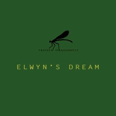 Day 9 - Elwyn's Dream