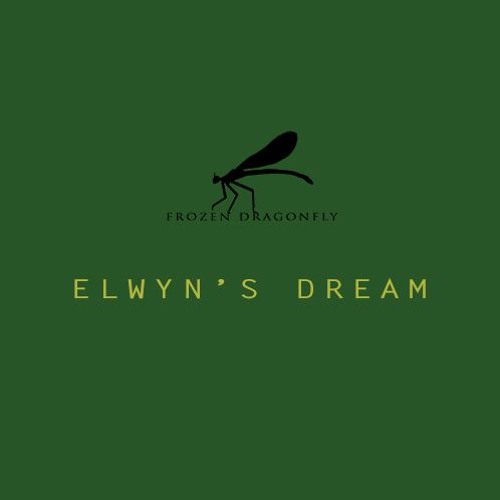 Day 9 - Elwyn's Dream