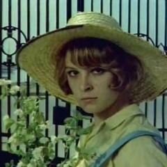 Sevim Şengül - Sarmaşık Gülleri