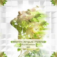 Merlin & Argus - Purification SAMPLE