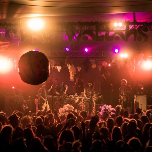 Hippo Sound System Ft. Dr Syntax, K.O.G, Franz Von, Feline & Zahra O'Shea - live at Shambala 2018